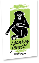 Monkey Forest 